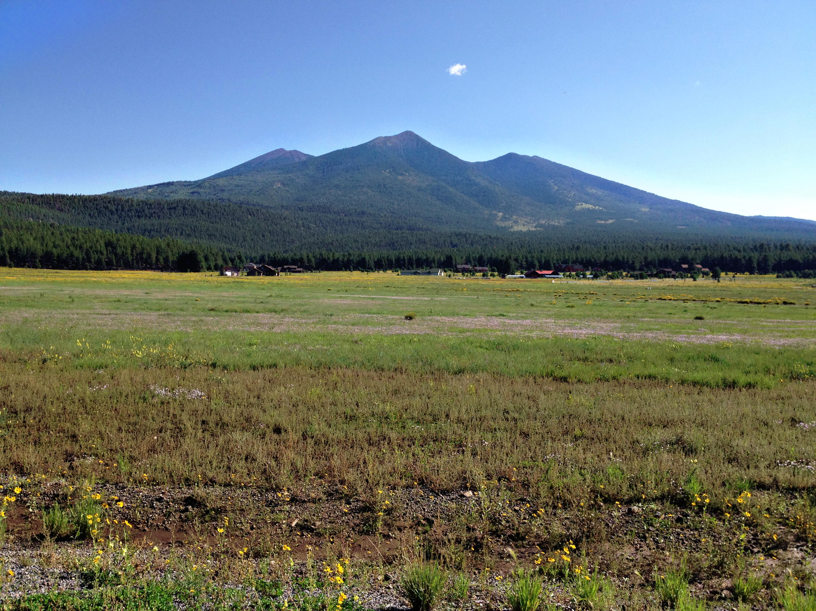 Flagstaff Real Estate | Buy A Home | Fort Valley AZ Land For Sale | Flagstaff Horse Property | Baderville Land For Sale | Flagstaff Land For Sale | Northern Arizona Realty | Flagstaff Realty |  Flagstaff Realtor